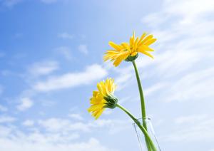 磐田市二之宮にある信頼の葬儀場：富士葬祭 中泉の特徴とサービス内容