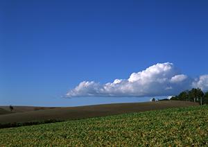 403 Forbiddenエラーの原因と解決策：ウェブサイトのアクセス制限を理解しよう