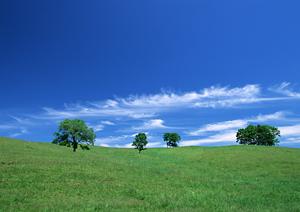 信頼できる葬儀サービスを選ぶための完全ガイド｜川越市で安心の葬儀を実現