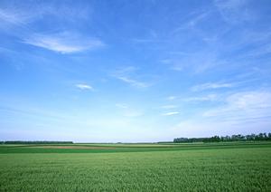 【公式】家族葬のタクセル下岡本町：宇都宮市における安価で安心の家族葬・斎場サービス