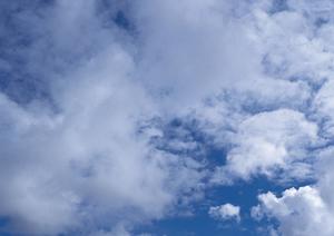 【2025年最新】さいたまで家族葬を検討する方必見！安心・信頼の葬儀プランと選び方