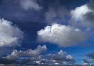 千葉県野田市で信頼できる葬儀サービスを提供するティア野田の詳細と特徴