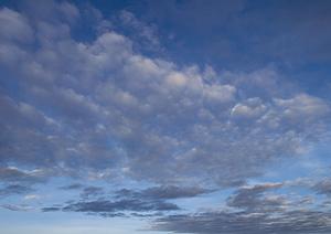 静岡市駿河区に新規オープン！家族葬専門の葬儀斎場【家族葬のタクセル西中原】の全容解説
