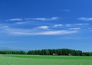 静岡市清水区の家族葬とお見積もりに対応した葬儀場【富士葬祭 折戸】の特徴と店舗情報