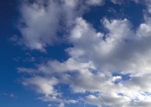 静岡市内で信頼できる家族葬・火葬の専門店｜家族葬のタクセルの特徴とサービス内容